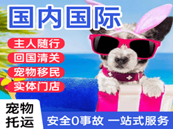 博乐阿拉山口空运地址国际宠物托运 【国